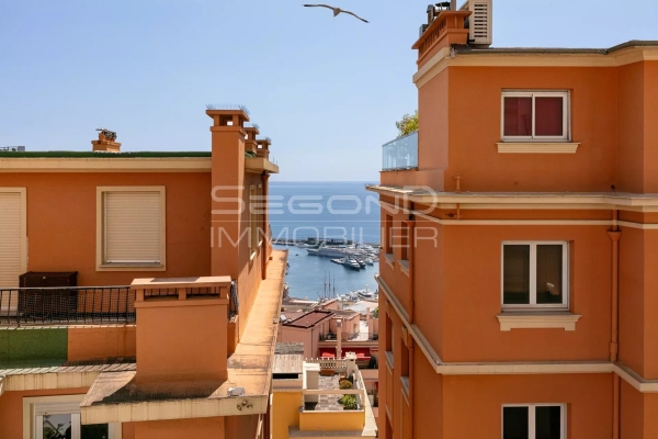 Appartement de luxe à vendre à Monaco, 3 950 000 €, Photo 5