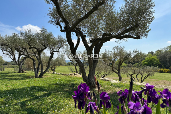 Maison de luxe à vendre à Uzès, 2 370 000 €, Photo 1