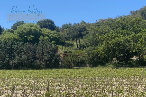 Maison de luxe à vendre à Grimaud, 11 130 000 €, Photo 2