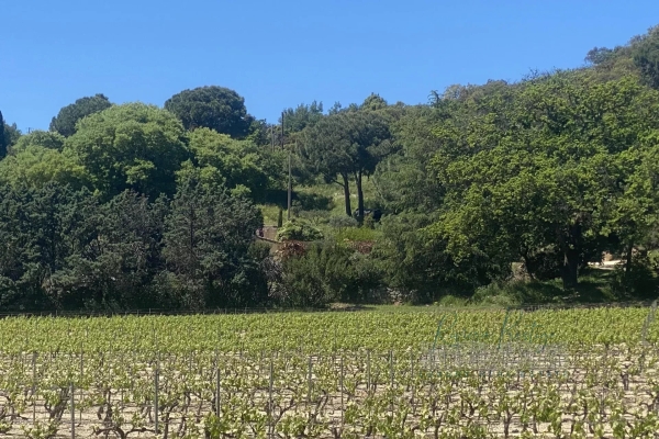 Maison de luxe à vendre à Grimaud, 11 130 000 €, Photo 2