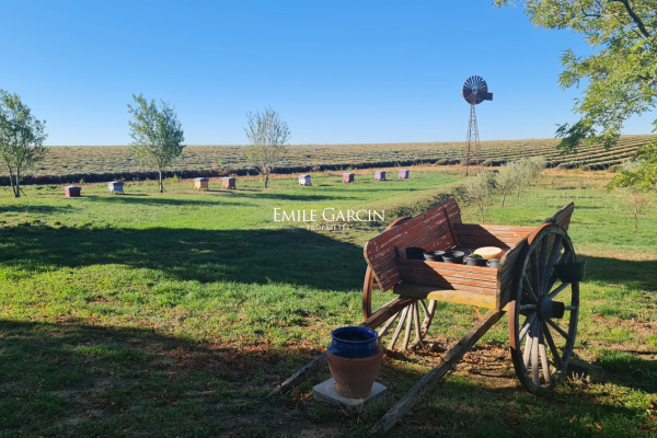 Maison de luxe à vendre à Valensole, 1 290 000 €, Photo 1