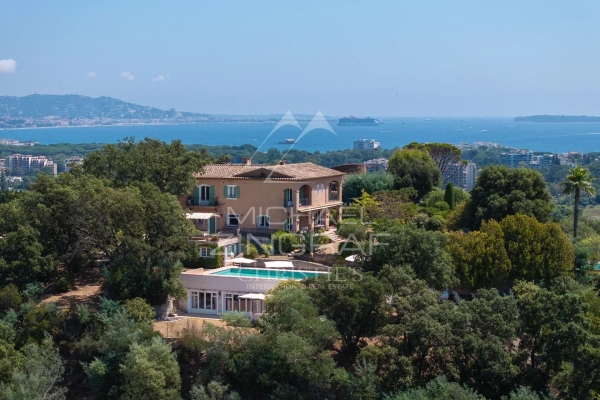 Maison de luxe à vendre à Mandelieu-la-Napoule, 3 995 000 €, Photo 1