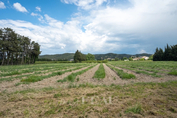 Maison de luxe à vendre à Boulbon, 1 175 000 €, Photo 6