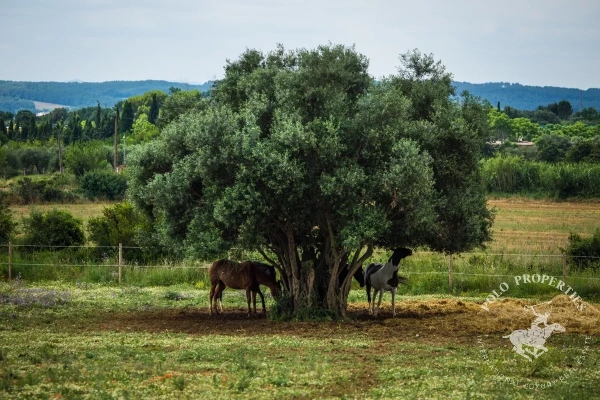 Maison de luxe à vendre à Figueres, 2 500 000 €, Photo 7
