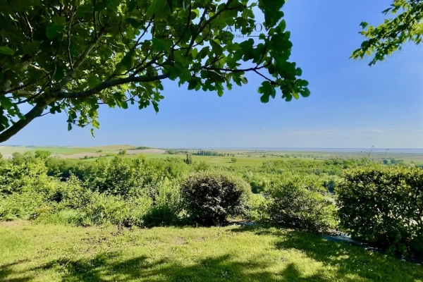 Maison de luxe à vendre à Mortagne-sur-Gironde, 895 500 €, Photo 3