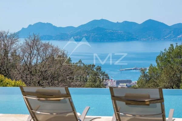 Maison de luxe à vendre à Cannes, 13 900 000 €, Photo 2
