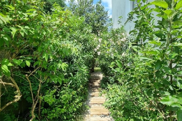 Maison de luxe à vendre à Le Perreux-sur-Marne, 1 150 000 €, Photo 3