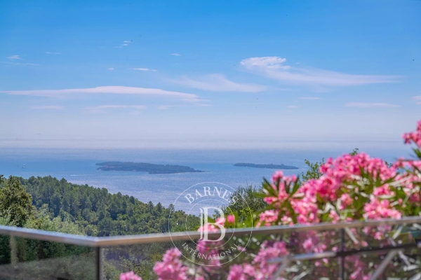 Maison de luxe à vendre à Mandelieu-la-Napoule, 2 950 000 €, Photo 2
