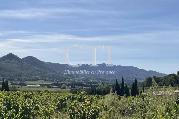 Maison de luxe à vendre à Vaison-la-Romaine, 1 560 000 €, Photo 4