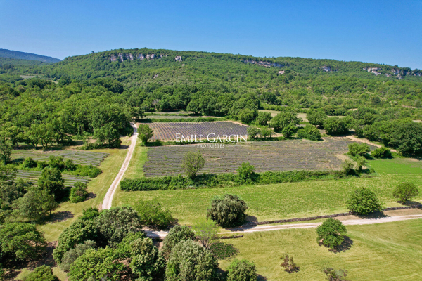Maison de luxe à vendre à Saignon, 2 200 000 €, Photo 3