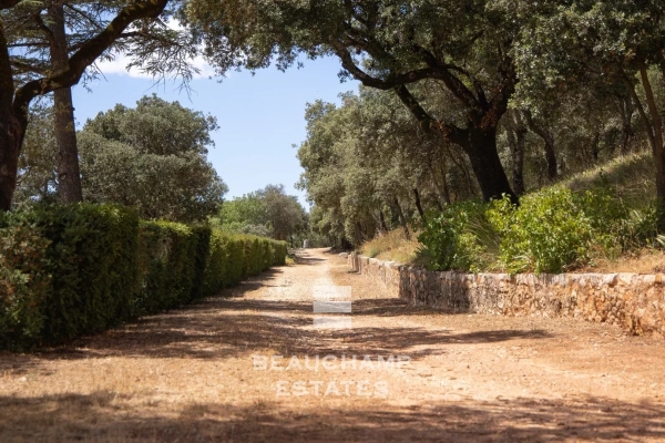 Luxury House for sale in Saint-Maximin-la-Sainte-Baume, 13 500 000 €, Photo 7