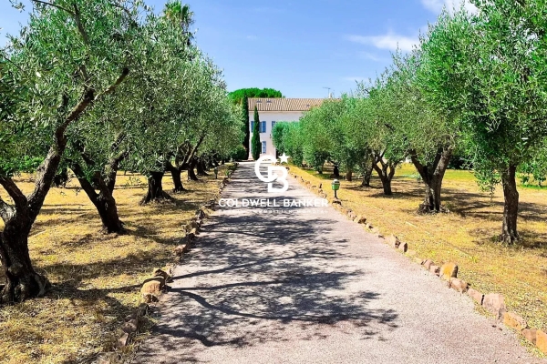 Maison de luxe à vendre à Solliès-Pont, 1 875 000 €, Photo 1