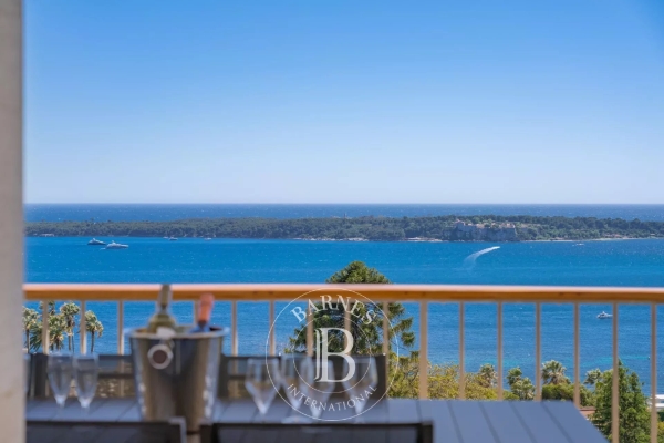 Luxury Apartment for sale in Cannes, 4 200 000 €, Photo 3