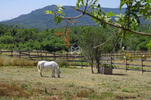 Luxury House for sale in Fayence, 1 580 000 €, Photo 3