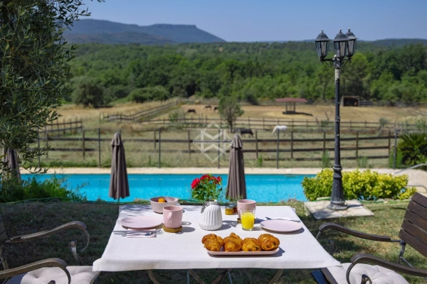 Luxury House for sale in Fayence, 1 580 000 €, Photo 4
