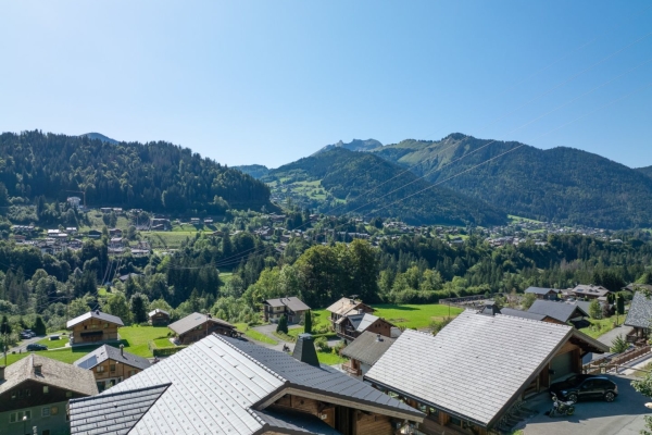 Maison de luxe à vendre à Montriond, 1 620 000 €, Photo 4