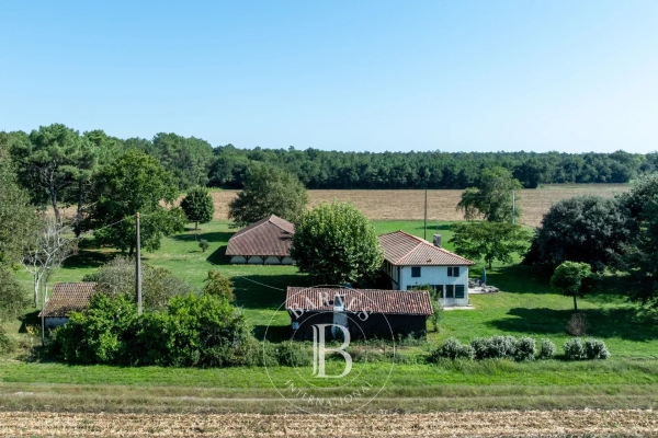 Maison de luxe à vendre à Soustons, 1 295 000 €, Photo 4