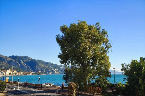 Appartement de luxe à vendre à Roquebrune-Cap-Martin, 595 000 €, Photo 1