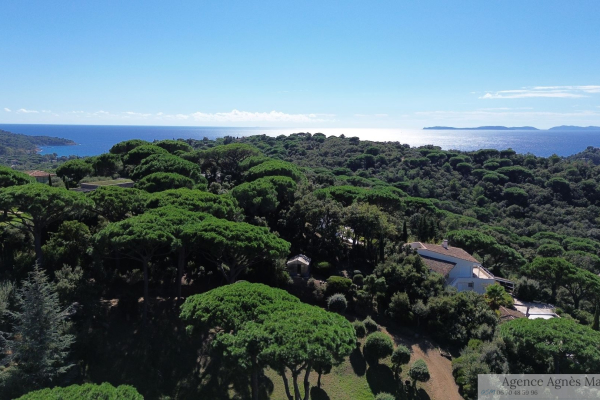 Maison de luxe à vendre à La Croix-Valmer, 3 640 000 €, Photo 2