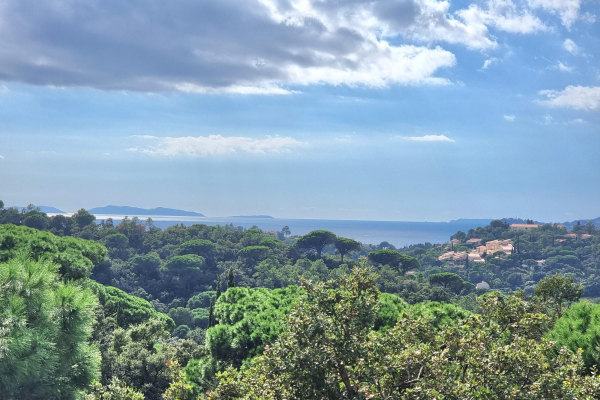 Maison de luxe à vendre à La Croix-Valmer, 3 640 000 €, Photo 3