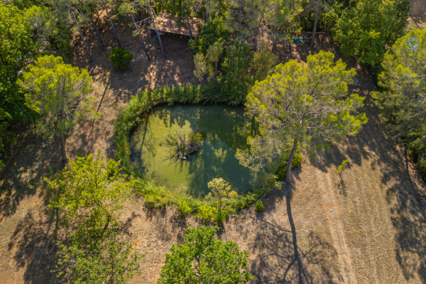 Maison de luxe à vendre à Flayosc, 1 395 000 €, Photo 5