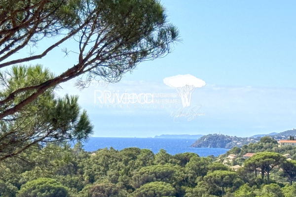 Maison de luxe à vendre à La Croix-Valmer, 3 800 000 €, Photo 1