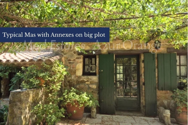 Luxury House for sale in Plan-de-La-Tour, 1 680 000 €, Photo 1