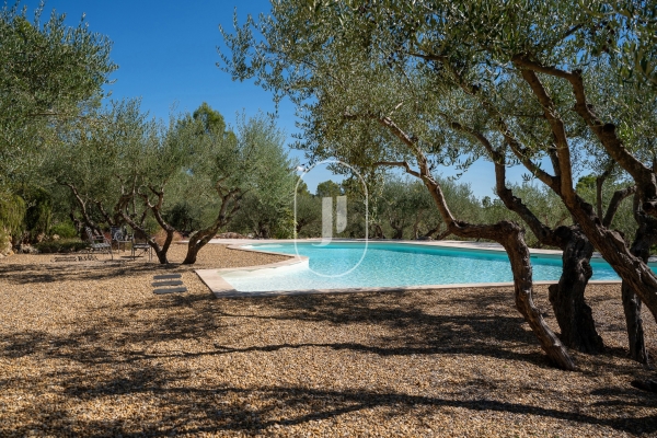 Luxury House for sale in Saint Antonin du Var, 1 495 000 €, Photo 3