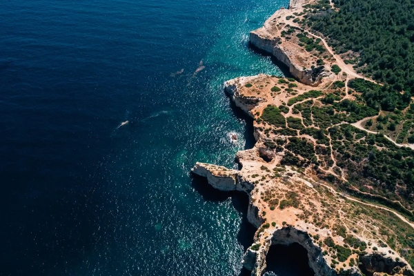 Maison de luxe à vendre à Ibiza, 4 600 000 €, Photo 4