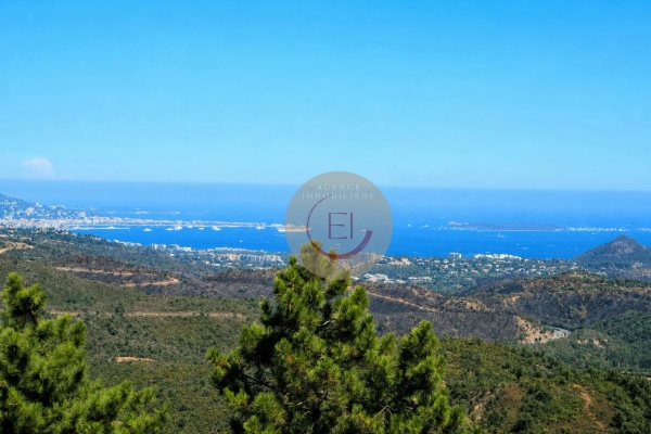Maison de luxe à vendre à Les Adrets de l'Esterel, 1 895 000 €, Photo 4