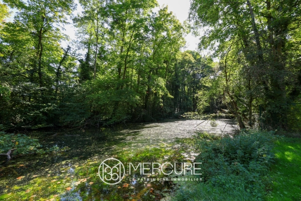 Maison de luxe à vendre à Longpont-sur-Orge, 6 510 000 €, Photo 5