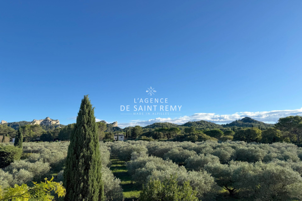 Maison de luxe à vendre à Saint-Rémy-de-Provence, 5 500 000 €, Photo 1