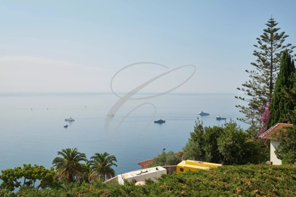 Maison de luxe à vendre à Roquebrune-Cap-Martin, 3 200 000 €, Photo 4