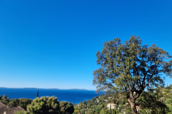 Maison de luxe à vendre à Rayol Canadel sur Mer, 5 780 000 €, Photo 2