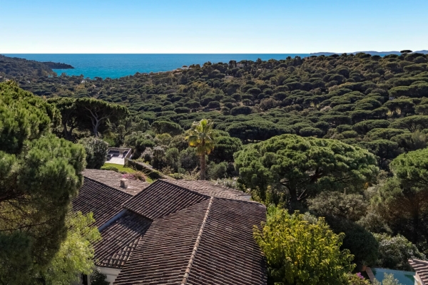 Luxury House for sale in La Croix-Valmer, 3 575 000 €, Photo 6