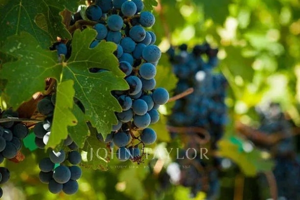 Luxury House for sale in Bordeaux, 1 800 000 €, Photo 4