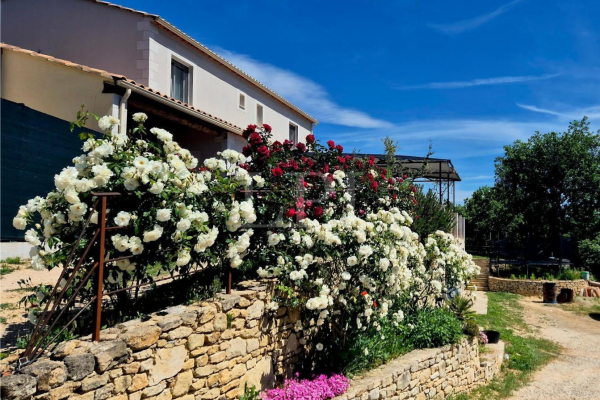 Maison de luxe à vendre à Saint-Martin-de-Castillon, 598 000 €, Photo 2
