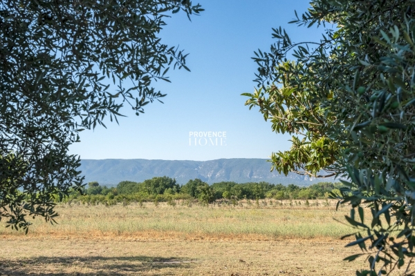 Luxury House for sale in Cabrières-d'Avignon, 1 300 000 €, Photo 2