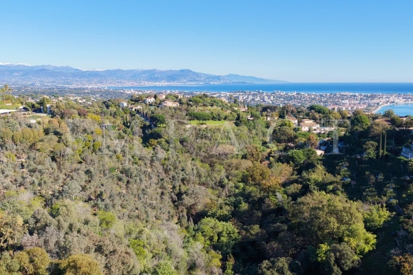 Maison de luxe à vendre à Cannes, 15 000 000 €, Photo 3