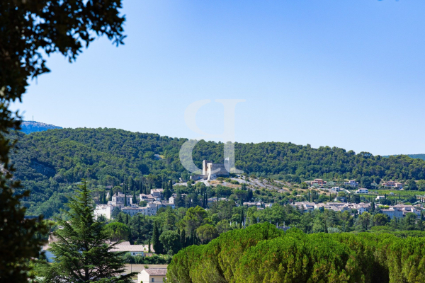 Maison de luxe à vendre à Vaison-la-Romaine, 2 490 000 €, Photo 3