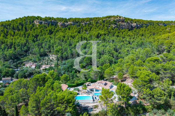 Luxury House for sale in L Isle-sur-La-Sorgue, 1 495 000 €, Photo 4