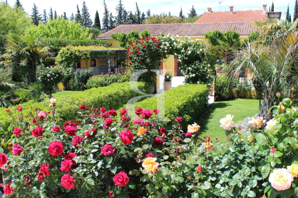 Maison de luxe à vendre à Carpentras, 1 064 000 €, Photo 4