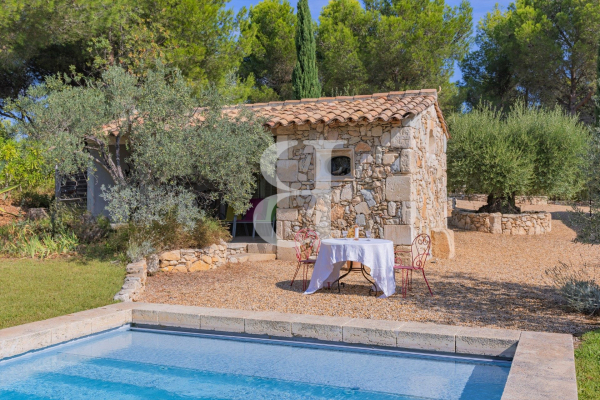 Maison de luxe à vendre à Maussane les Alpilles, 1 995 000 €, Photo 5