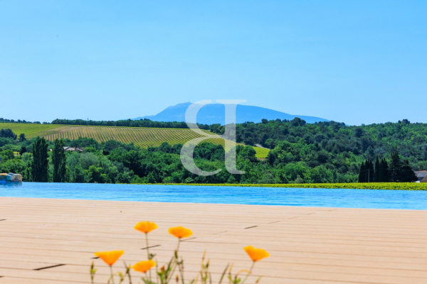 Maison de luxe à vendre à Vaison-la-Romaine, 1 810 000 €, Photo 5