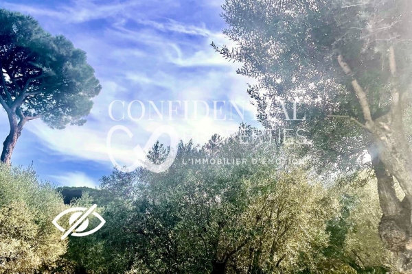 Luxury House for sale in Sainte-Maxime, 3 400 000 €, Photo 4