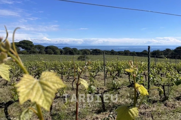 Maison de luxe à vendre à Gassin, 6 900 000 €, Photo 1