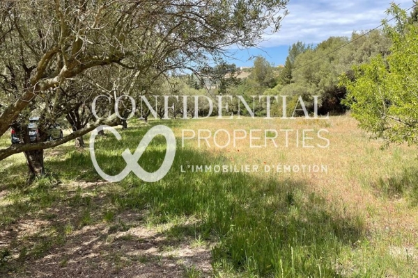 Maison de luxe à vendre à Mougins, 14 950 000 €, Photo 4