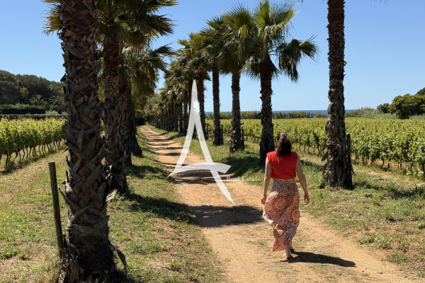 Maison de luxe à vendre à La Croix-Valmer, 3 570 000 €, Photo 3