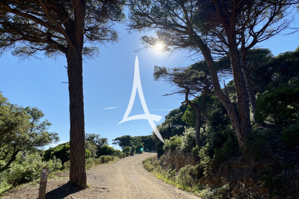 Maison de luxe à vendre à La Croix-Valmer, 3 570 000 €, Photo 7