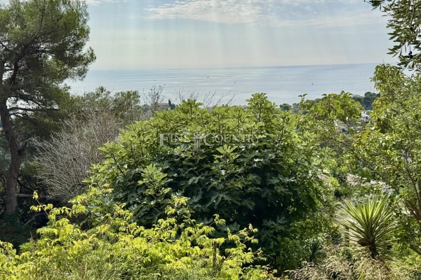 Maison de luxe à vendre à Vallauris, 850 000 €, Photo 2